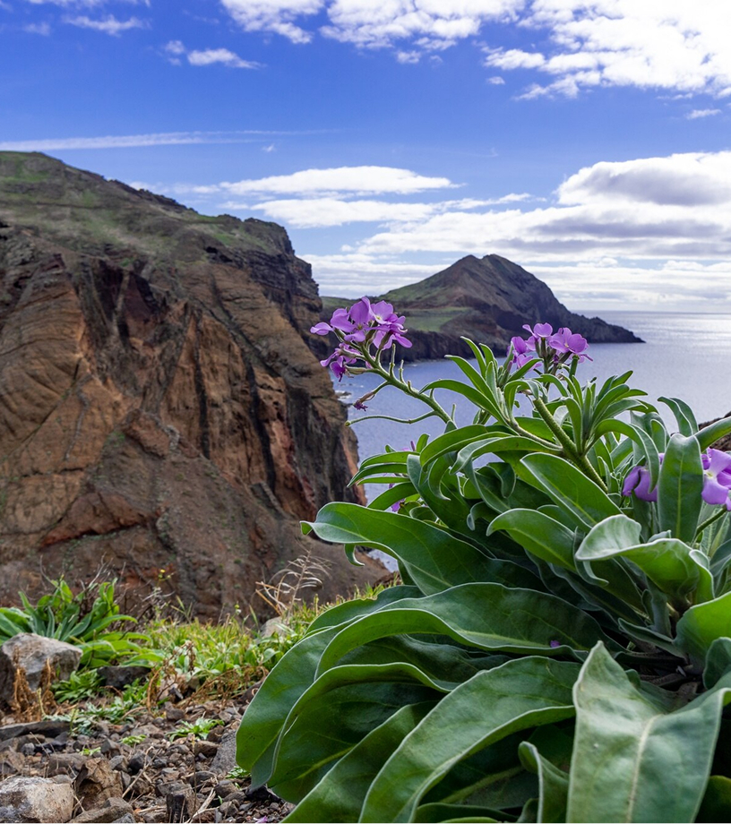 La Palma GR 131  El Baston